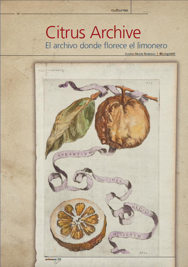 A117 culturas